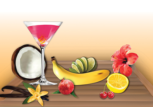 projet dessin vectoriel