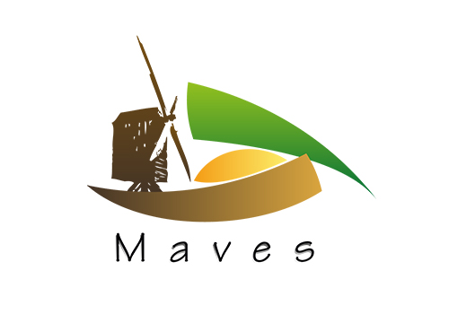 projet dessin vectoriel